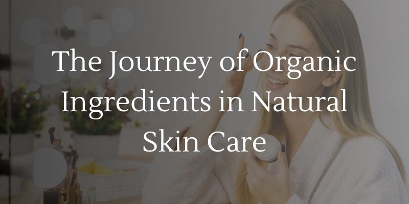 The Journey of Organic Ingredients in Natural Skin Care